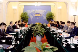 越中政府级边界谈判代表团团长会晤在河内举行 