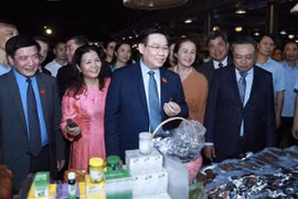 越南国会主席王廷惠出席2023年越南手工艺村保护与发展节
