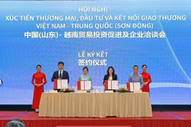 越南-中国（山东）贸易投资促进及企业洽谈会在河内举行