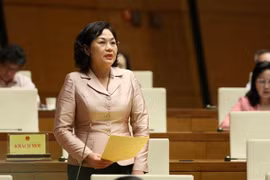 越南央行行长阮氏红：对通胀风险不可掉以轻心