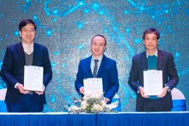 为2000万名越南青年提升数字商业能力