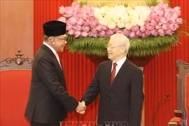 越共中央总书记阮富仲会见马来西亚总理安瓦尔