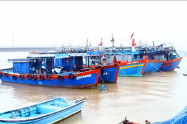 解除IUU“黄牌”：打击非法捕捞刻不容缓