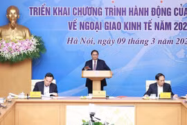 经济外交：越南与美国经济外交发展的重要前提