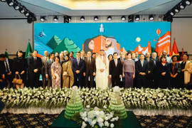 越南与沙特阿拉伯王国不断巩固和发展双边关系