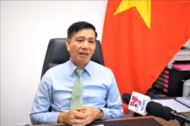 越南驻马来西亚大使丁玉玲：越南通过文化外交向马来西亚人民成功展现国家形象
