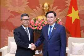 越南国会主席王廷惠会见印度尼西亚和伊朗大使