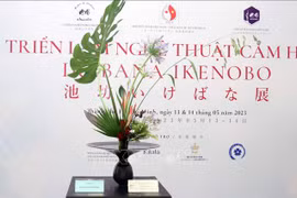 日本传统插花艺术展在胡志明市举行