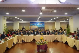 促进越俄经贸合作
