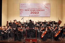 精彩纷呈的迎春音乐会在河内大剧院举行