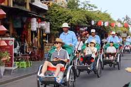 瑞士为越南广南省建设绿色旅游活动提供支持 