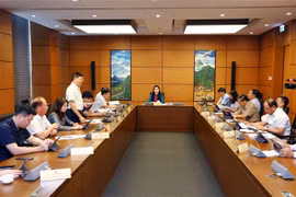 越南第15届国会第5次会议：国会就社会经济报告进行分组讨论