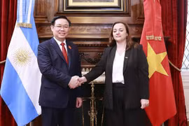 越南国会主席王廷惠与阿根廷众议长塞西莉亚·莫罗举行会谈
