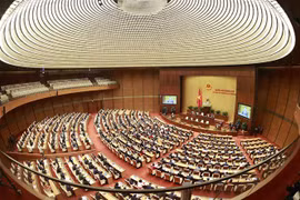 越南国会不断创新，提高工作效率，服务国家