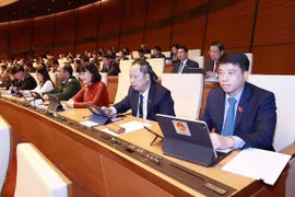 越南第十五届国会第二次特别会议：通过罢免政府两名副总理的决议