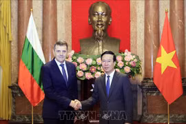 四位新任驻越大使向越南国家主席武文赏递交国书