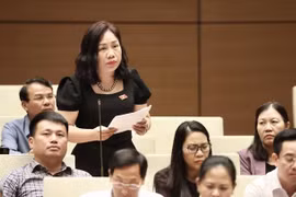 越南第十五届国会第五次会议：《土地法（修正案）》必须取消长期停滞项目