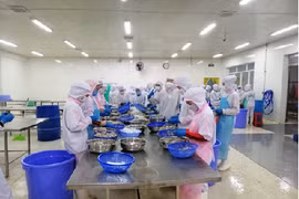 金瓯省多措并举支持出口企业渡难关 
