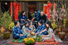 各国驻越南大使谈越南春节