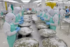 美国商务部接受对来自越南等国的进口冷冻温水虾产品进行反补贴调查申请