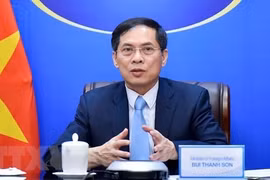 越南外交部部长裴青山：推进新时代越南现代、全面外交