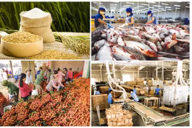 越南前7月农林水产品出口291.3亿美元，实现贸易顺差近60亿美元