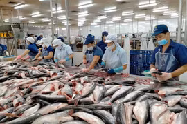 越南查鱼出口活动自年初以来首次呈现正增长势头