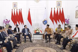 越南国会主席王廷惠会见印尼大雅加达首都特区省长赫鲁·布迪哈托诺