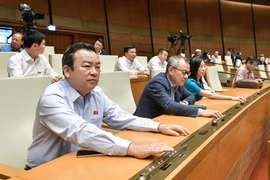 越南第十五届国会第六次会议决定未批准《土地法》（修正案）