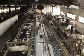 乂安省试开展土族文化旅游线路