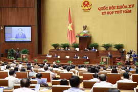 第十五届国会第五次会议：开始质询和回答质询活动