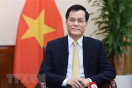 越南外交部副部长何金玉就美国总统乔·拜登对越南的访问取得成果接受记者采访