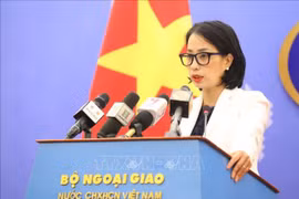 外交部例行记者会：密切配合实现越美联合声明