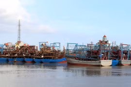 解除IUU“黄牌”：南定省加强对出入港渔船的管控力度