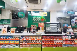 行内专家：年底越南零售市场将更加活跃