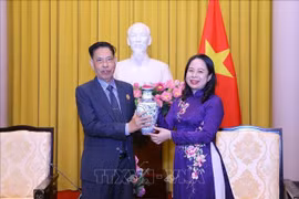 越南国家副主席武氏映春会见柬埔寨祖国团结发展阵线中央委员会高级代表团
