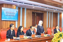 越南国家审计署审计长吴文俊礼节性会见印尼财政稽查署署长伊斯玛