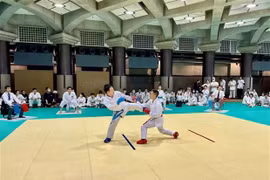 旅居日本越南人空手道锦标赛在东京道场隆重举行 