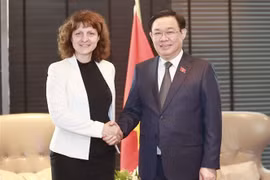 越南国会主席王廷惠会见保加利亚和丹麦知名企业高层