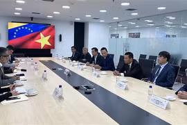越南企业大力进军拉丁美洲市场