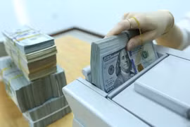 2023年上半年流入胡志明市的侨汇金额大幅增长