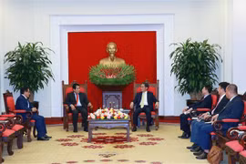 提高越南共产党和秘鲁共产党合作成效