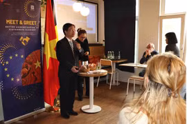 越南向比利时旅游企业推介会奖旅游潜力