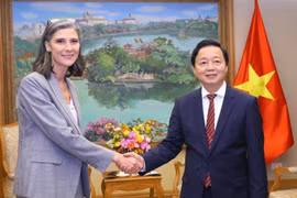 越南政府副总理陈红河会见UNDP和USAID驻越南首席代表