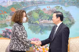 越南政府副总理陈红河会见世行驻越南首席代表