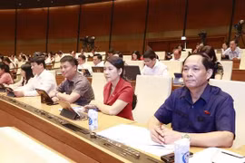 第十五届国会第五次会议：确保招投标活动公开严谨透明