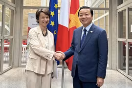 法国开发署同意在绿色能源开发和可再生能源等领域向越南提供资金支持 