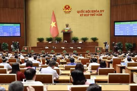 第十五届国会第五次会议：国会表决通过成立2024年国会专项监督团的决议