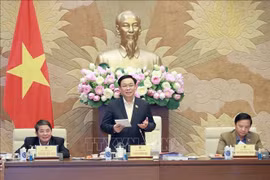 国会主席王廷惠：人民对《土地法（修正案）》草案的意见汇总工作需确保全面性