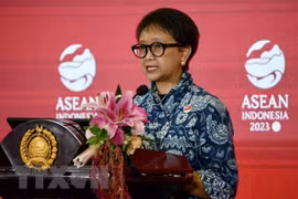 促进东盟秘书处与印度尼西亚和巴西之间的合作